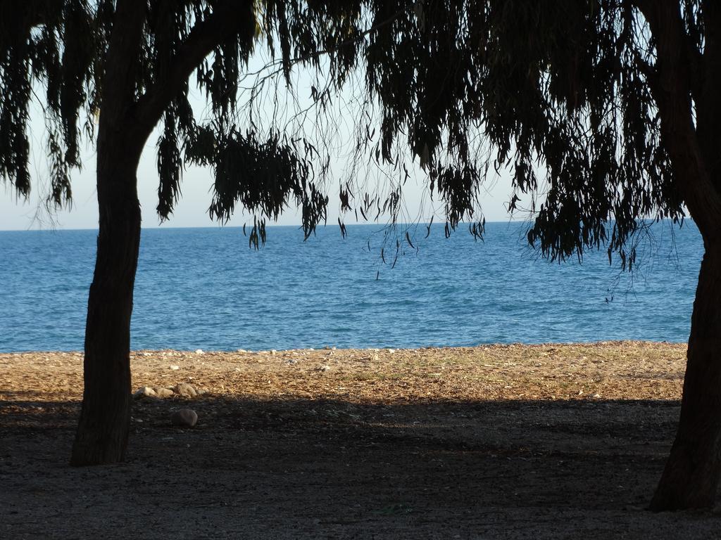 Camping El Torres Villajoyosa Eksteriør billede